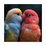 Two Lovebirds Nuzzling Close Up Portrait (Print Only) thumbnail
