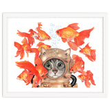 Scuba Catlgbright thumbnail