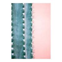 Spiky Cactus (Print Only)