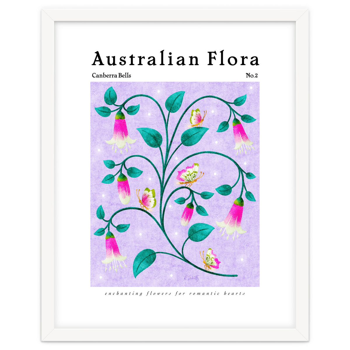 Australian Flora: Canberra Bells