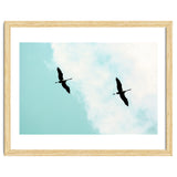 Crane(s) V thumbnail