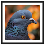 Close Up Of A Pigeon's Head And Neck thumbnail