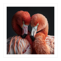 Close Up Of Two Flamingos Nuzzling Together (Print Only)