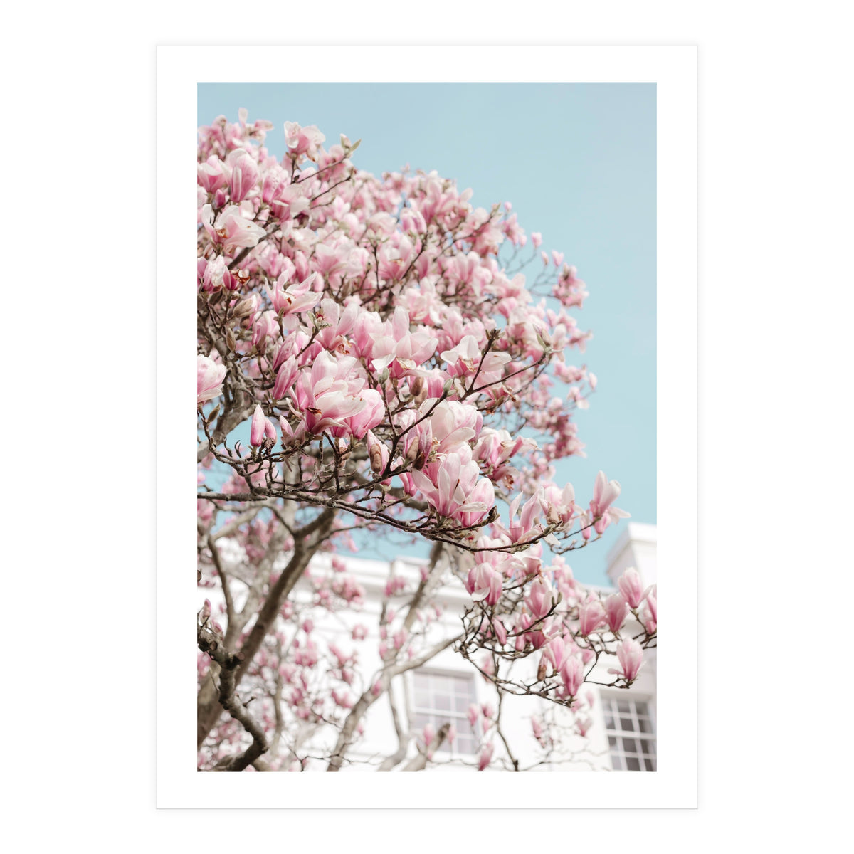 Spring Time (Print Only)