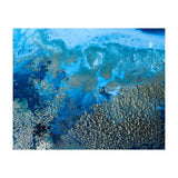 Revitalize (Print Only) thumbnail