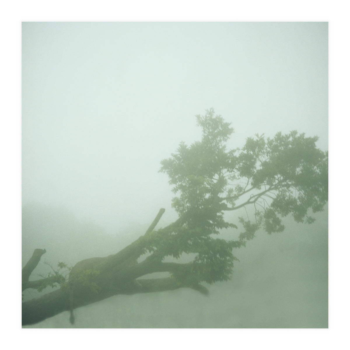 Silence of breath - 07 (Print Only)