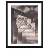 Evolving | Sepia thumbnail
