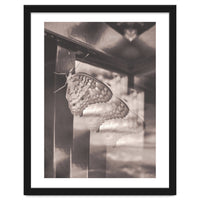 Evolving | Sepia
