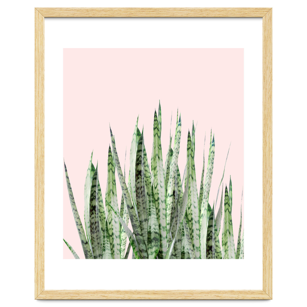 Botanical Balance