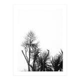 Miminalist Palm (Print Only) thumbnail