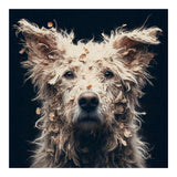 Old Dog 06 (Print Only) thumbnail