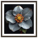Hellebore | Silver Magic thumbnail