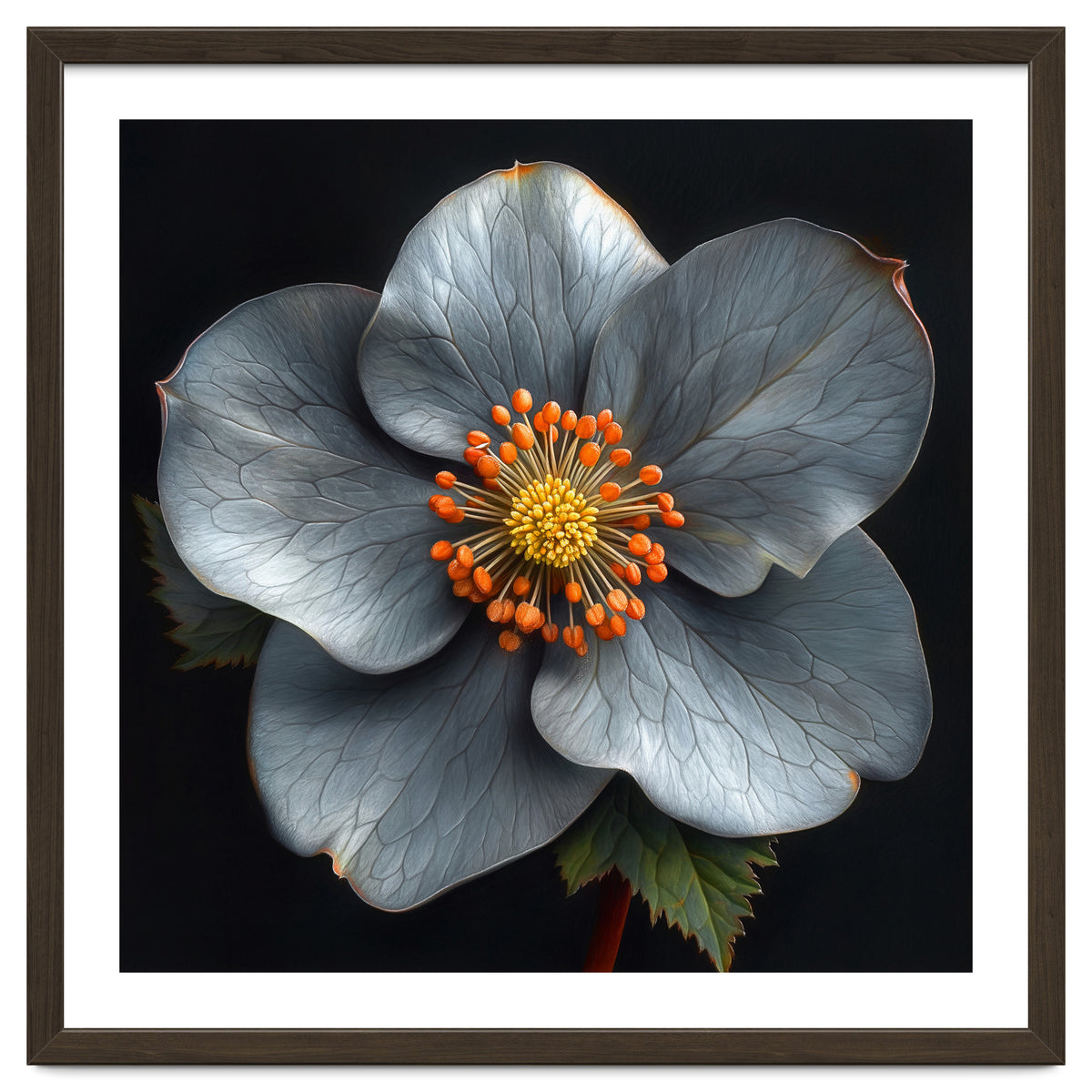 Hellebore | Silver Magic
