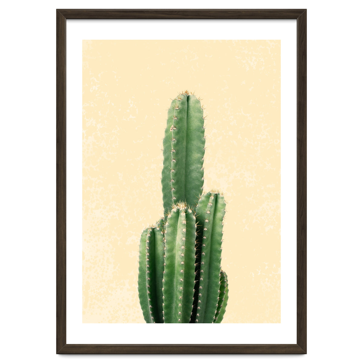 Tall Cactus, Minimal Desert Saguaro Art