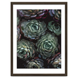 Succulent Plant Ii thumbnail
