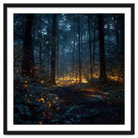 Enchanted Midnight Forest with Glowing Fireflies