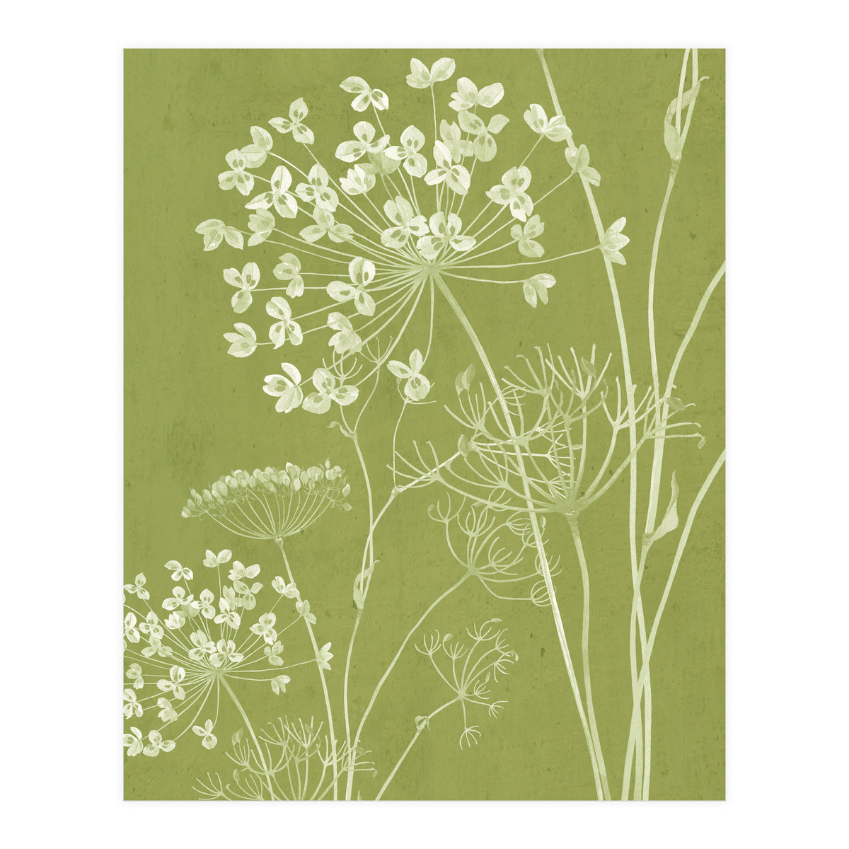 Wildflowers III (Print Only)