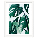Monstera Tropical Photography Digital Art, Minimal Nature Jungle Botanical Leaves thumbnail