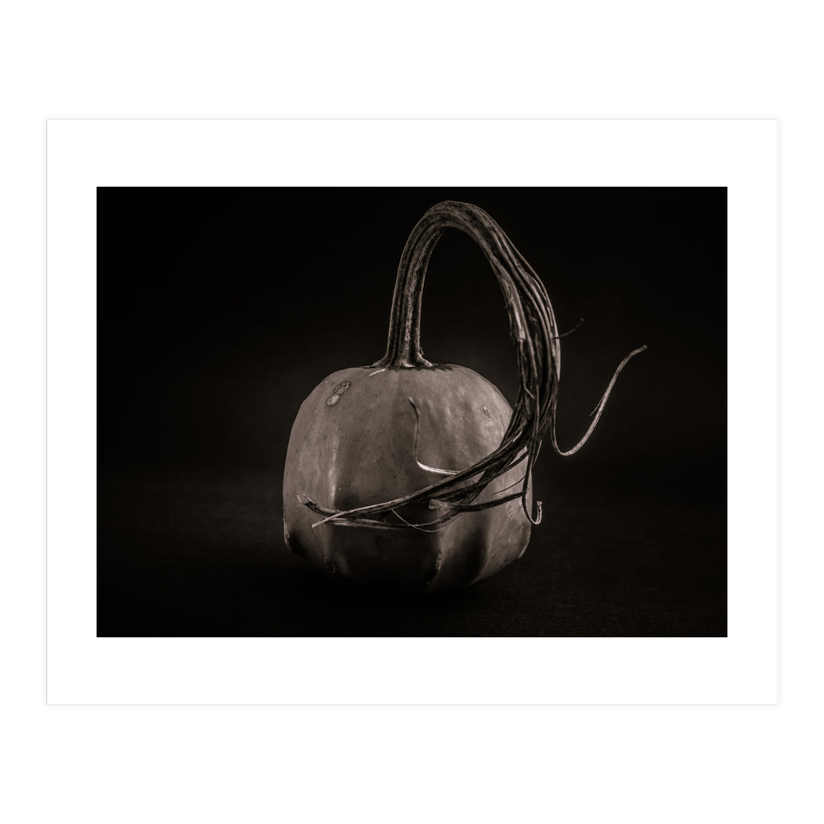 Gourds No 14 (Print Only)