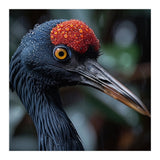 Black Crane Bird Head With Red Crown And Raindrops (Print Only) thumbnail