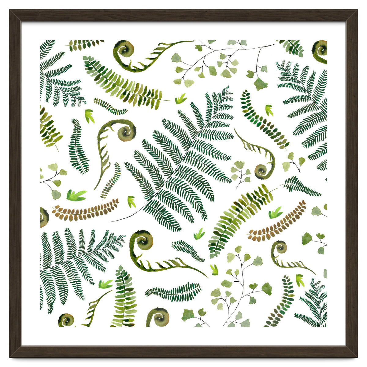 Spring Fern Pattern
