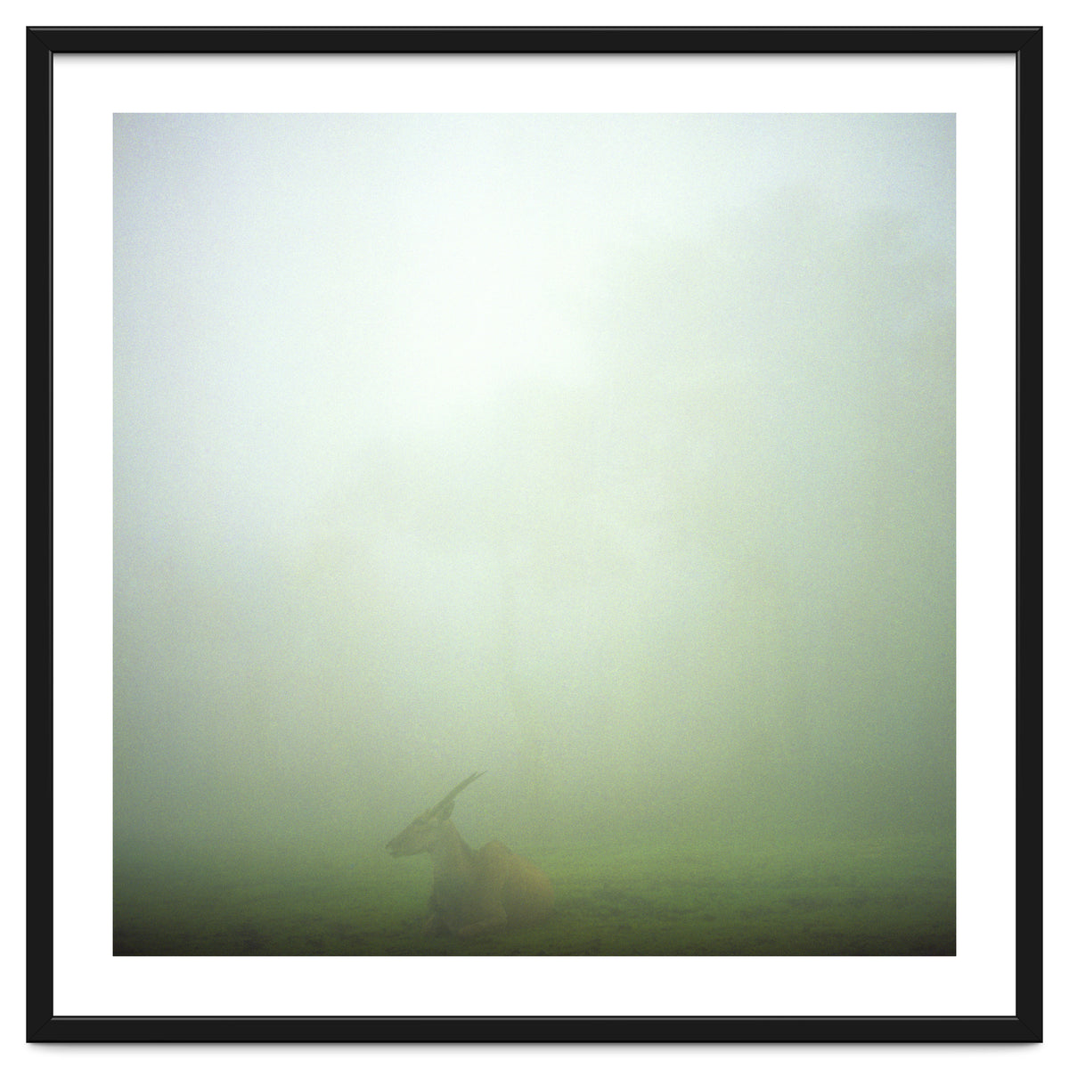 Silence of breath - 06