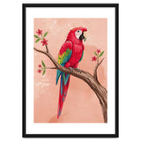 Red Macaw Parrot Bird Forest thumbnail
