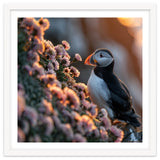 Puffin Bird On Rocks Near Pink Flowers At Sunset thumbnail