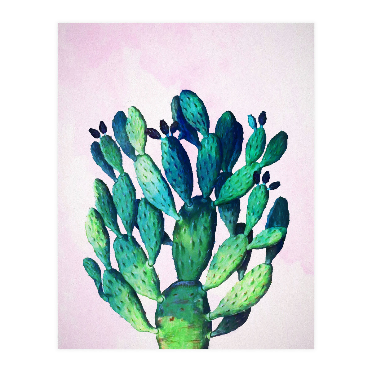 Cactus Three Ways (Print Only)