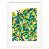 Summer Strelitzia thumbnail