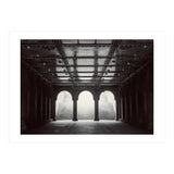 Levitation (Print Only) thumbnail
