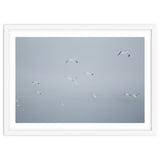 Flying seagulls in the winter sky thumbnail