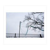 Net caught in a tree (Print Only) thumbnail