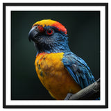 Close Up Colorful Parrot Perched On A Branch thumbnail