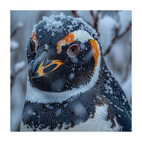 Penguin In Snow Falling Close Up Portrait (Print Only)