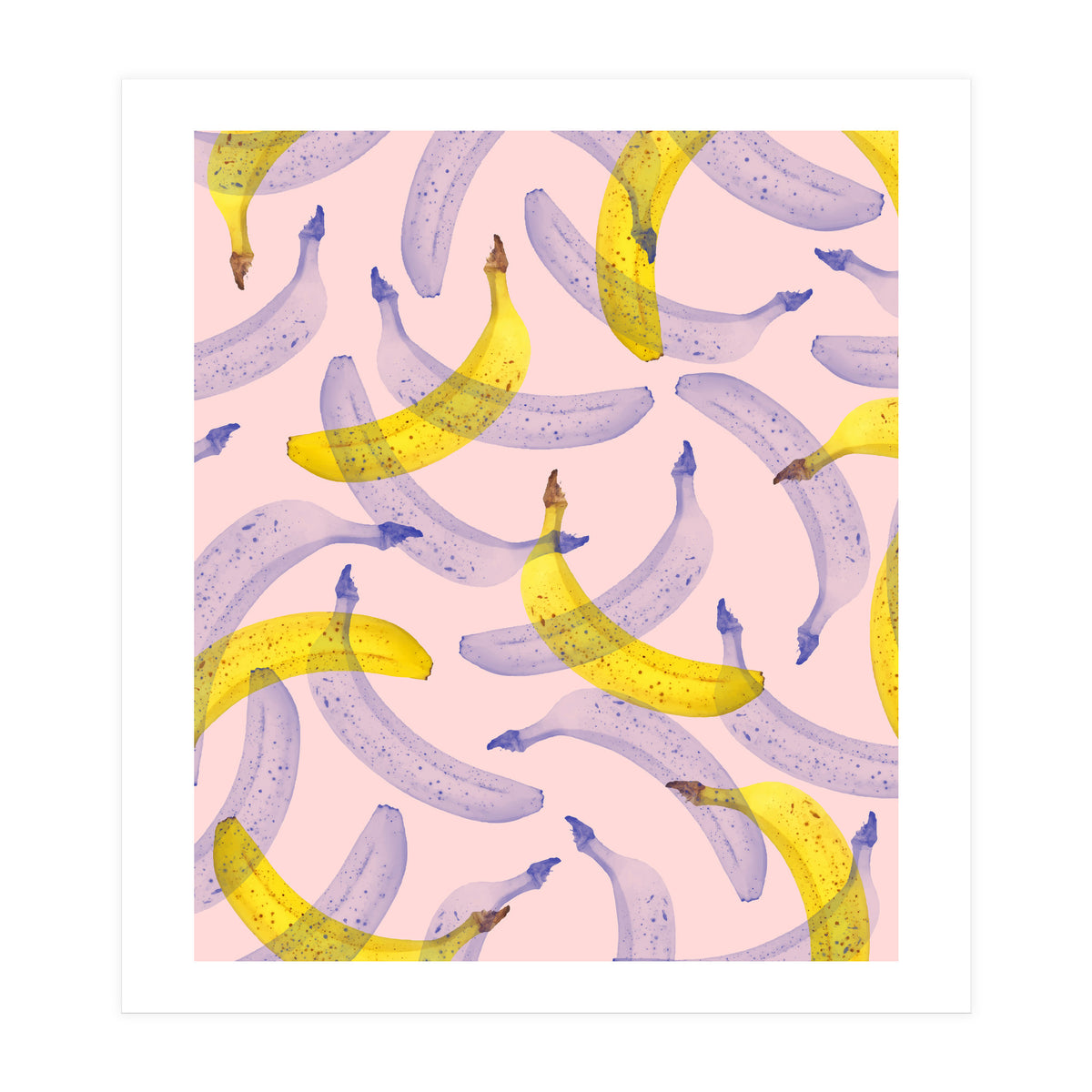 Banana Under Scrutiny (Print Only)