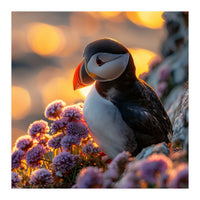 Puffin Bird Amidst Purple Flowers Golden Hour (Print Only)