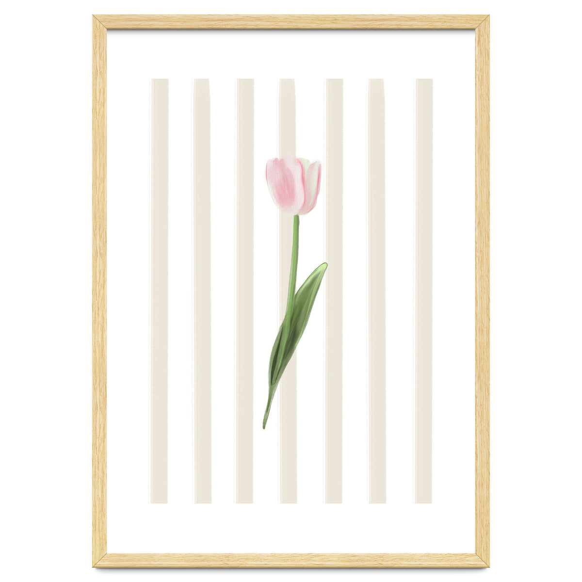 Single Tulip