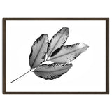 Branches and Leaves, 2016, 1 thumbnail