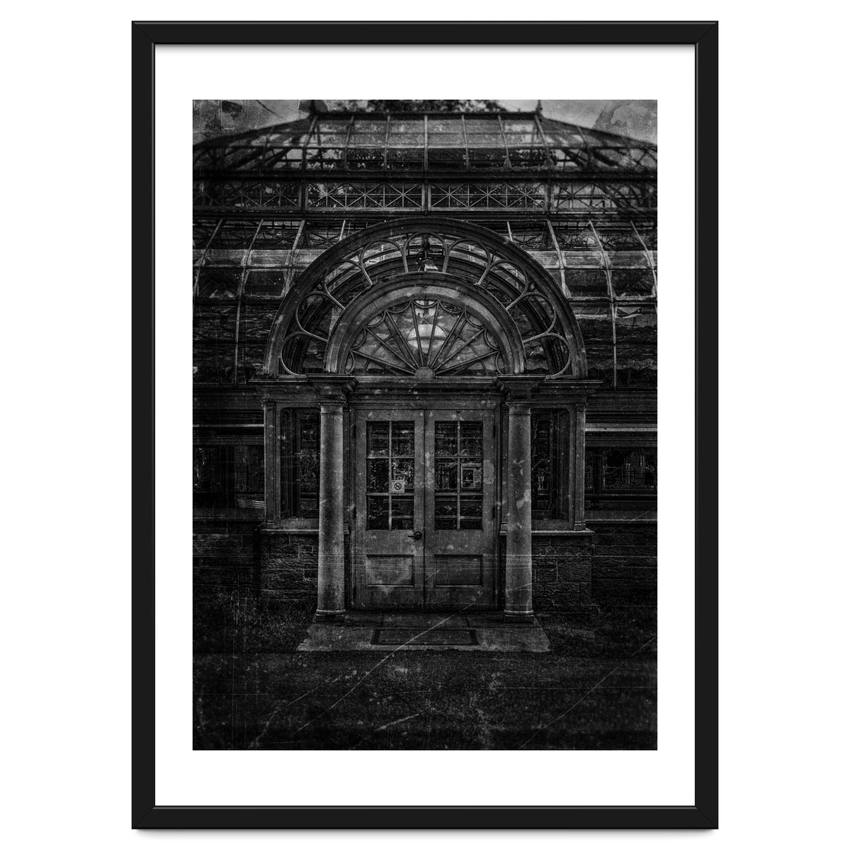 Allan Gardens Conservatory Palm House No 5 Old Film Version