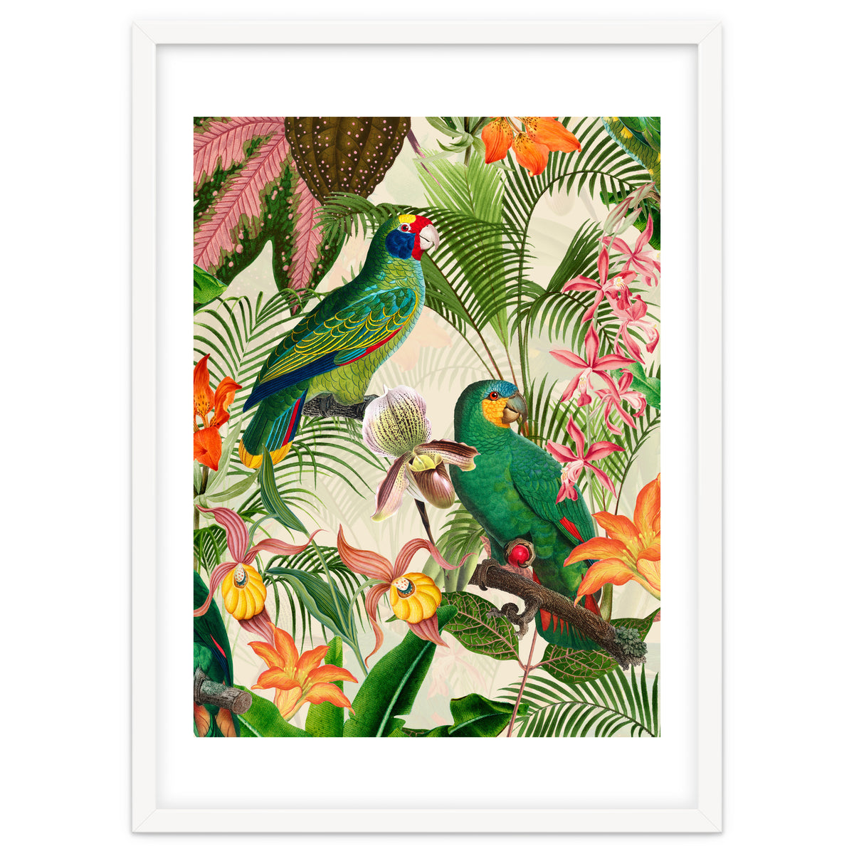 Parrots in tropical Jungle