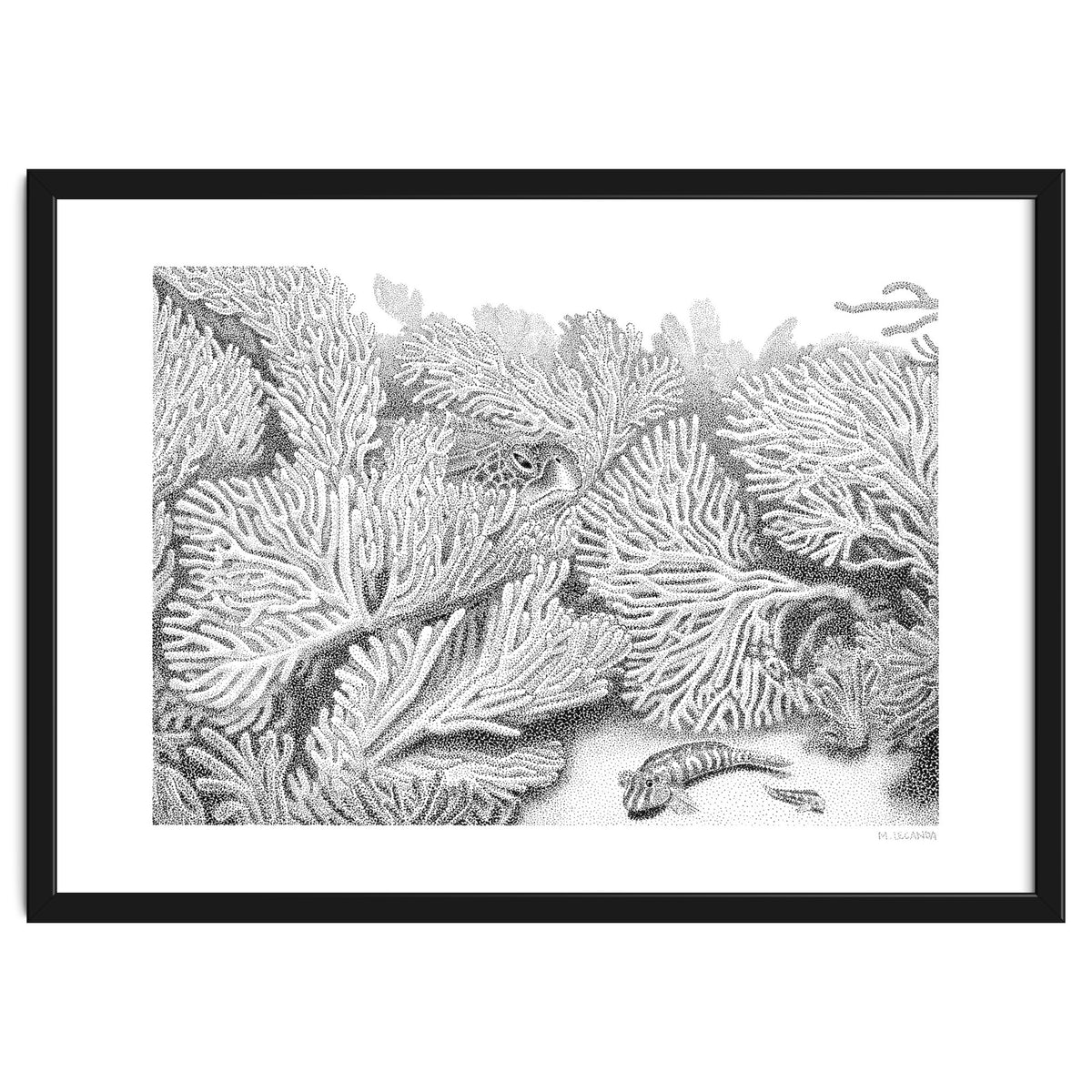 Hidden in plain sight