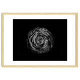 Backyard Flowers In Black And White No 72 with Border thumbnail
