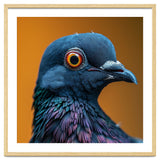 Close Up Of A Pigeon's Head And Neck thumbnail