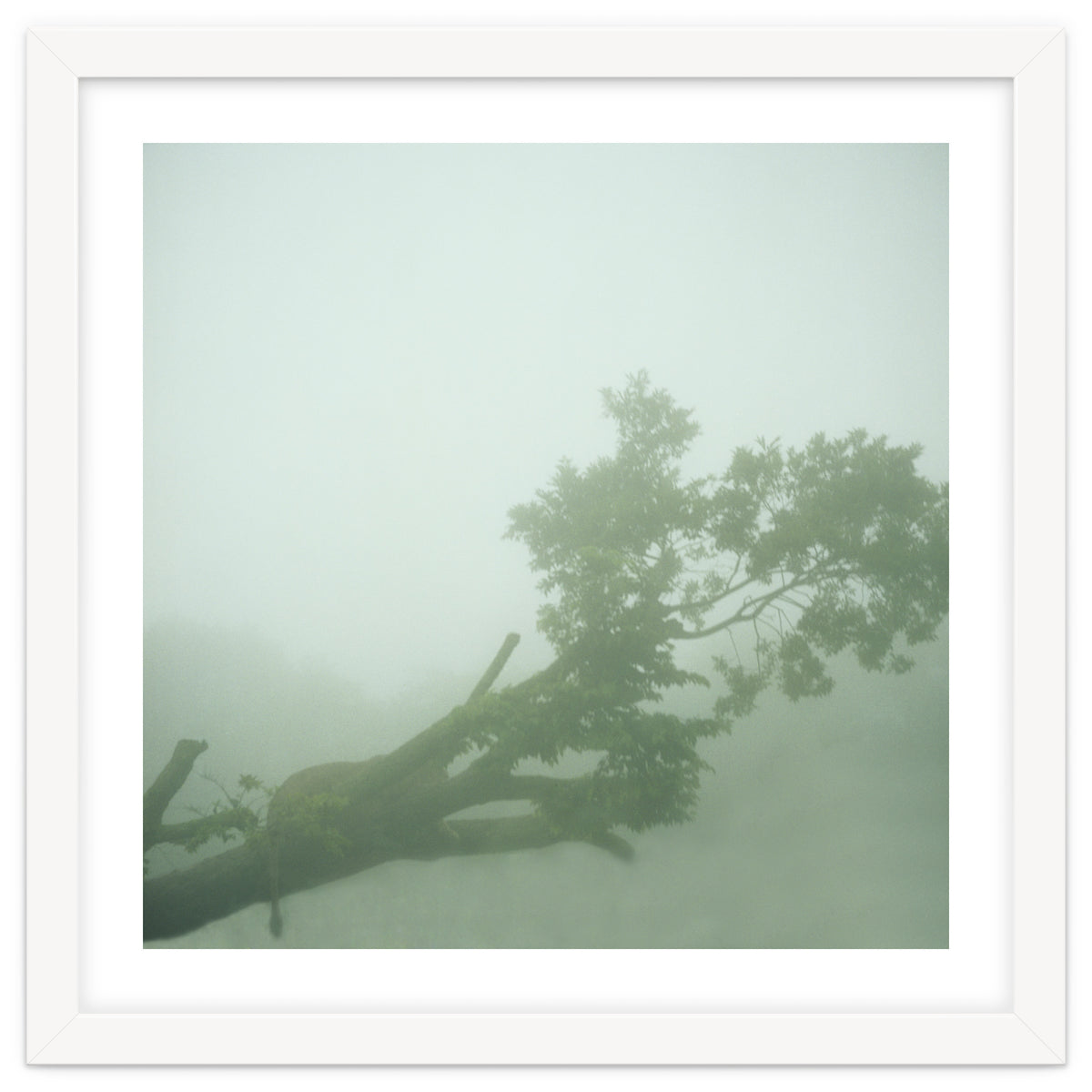 Silence of breath - 07