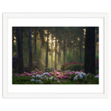 Rhododendron forest thumbnail