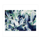 Cactus Garden (Print Only) thumbnail