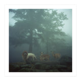 Silence of breath - 05 (Print Only) thumbnail