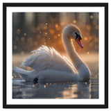 Majestic Swan Gliding On Water During Sunset Golden Hour Wildlife thumbnail