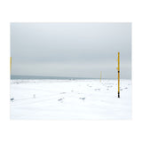 Seagulls in between the volleyball poles in winter snow beach (Print Only) thumbnail